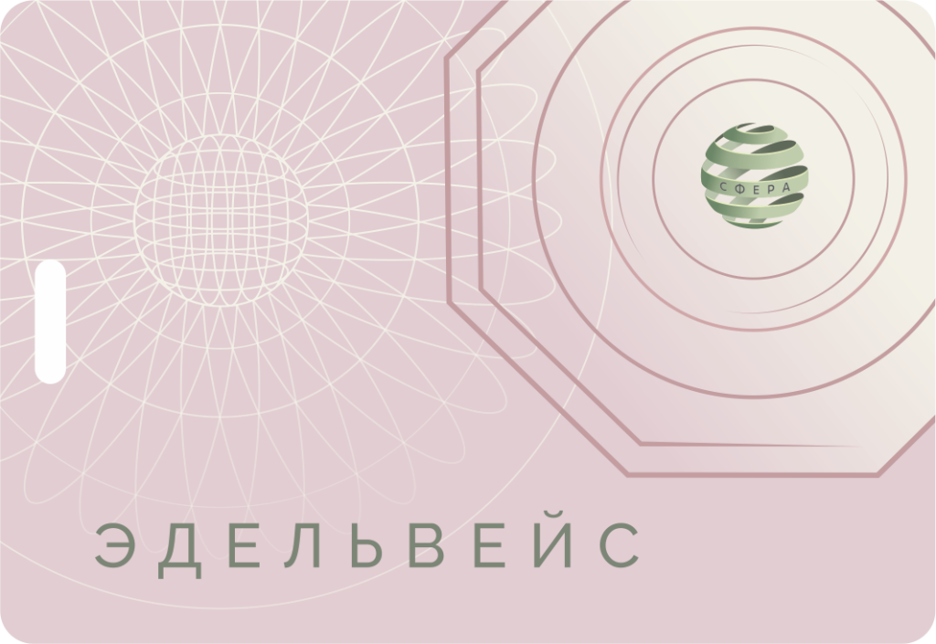 Квантовый гомографический модуль "Эдельвейс"